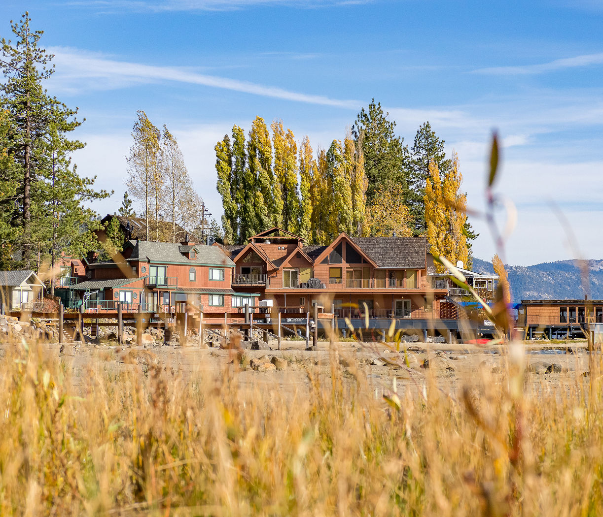 Autumn lakefront cabins with golden grasses