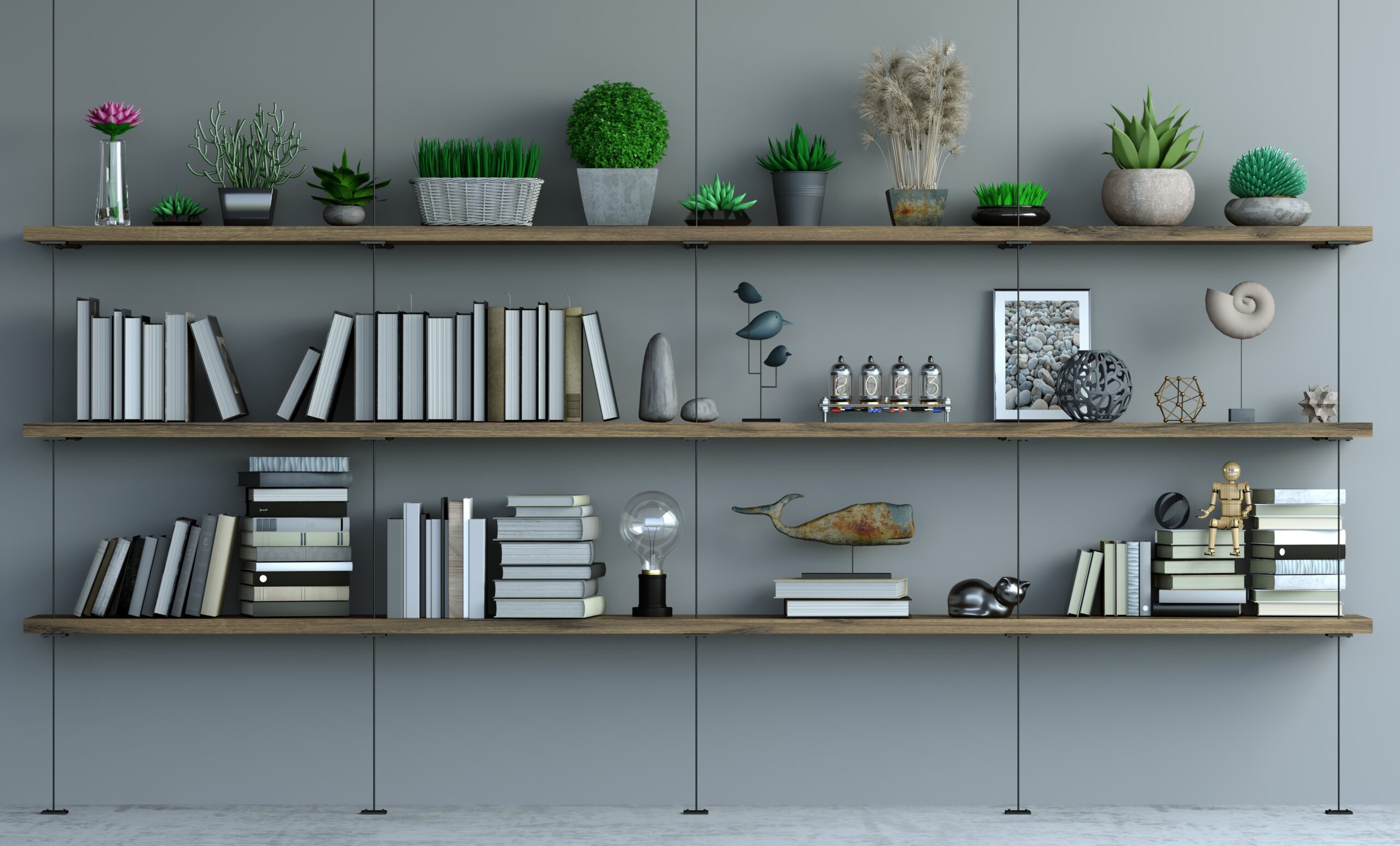 Floating wooden shelves with books and plants