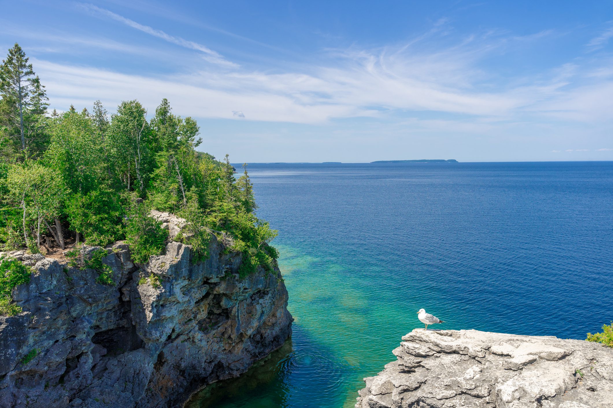 Cliffside with seagull overlooking turquoise lake